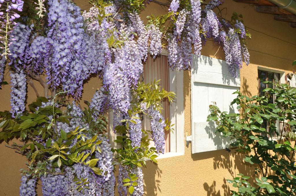B&B La Cerisaie Francheleins Εξωτερικό φωτογραφία