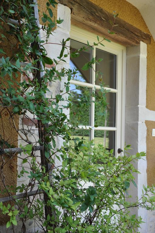 B&B La Cerisaie Francheleins Δωμάτιο φωτογραφία